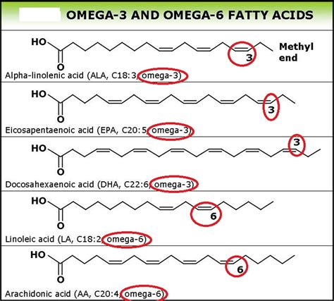 omega 3 fatty acid name